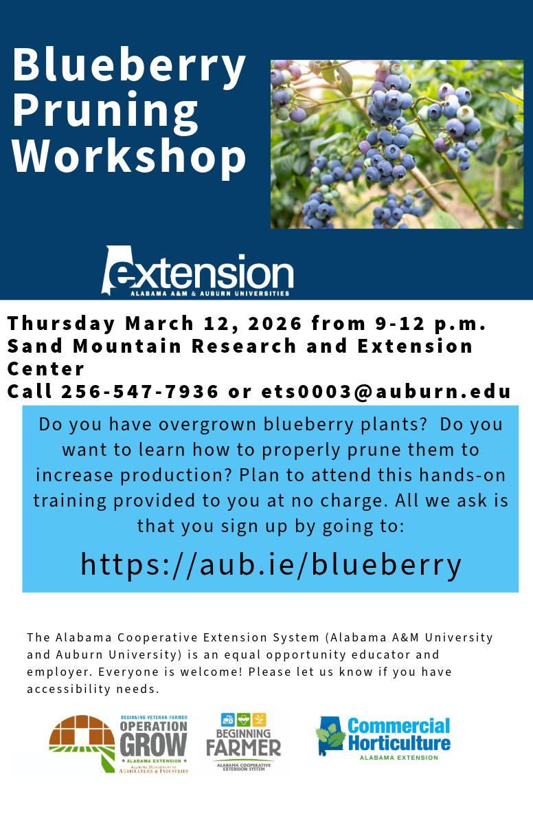 Blueberry Pruning Workshop - Alabama Cooperative Extension System - MC Office