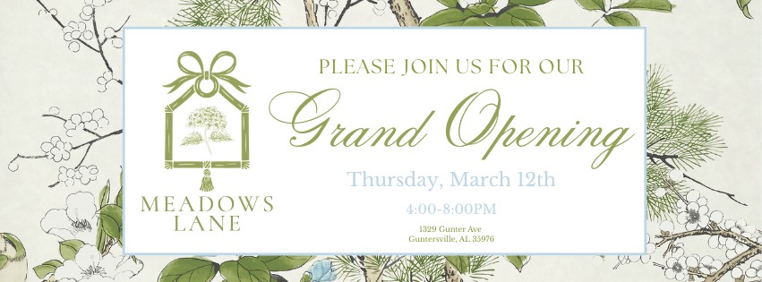 Grand Opening! - Meadows Lane