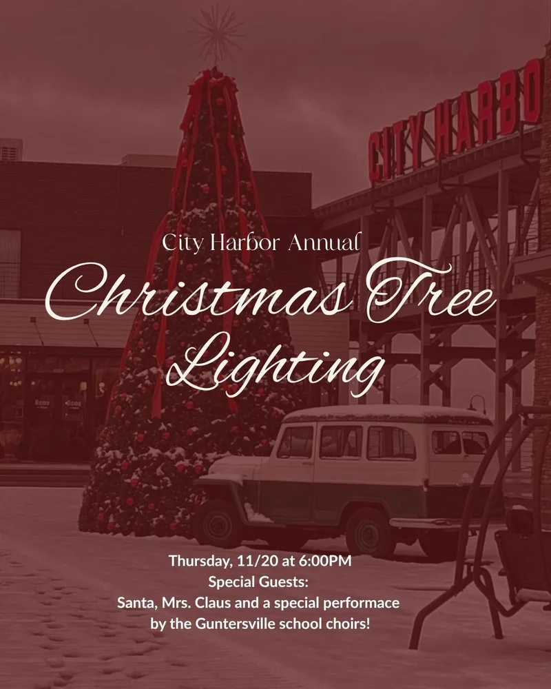 Christmas Tree Lighting - City Harbor