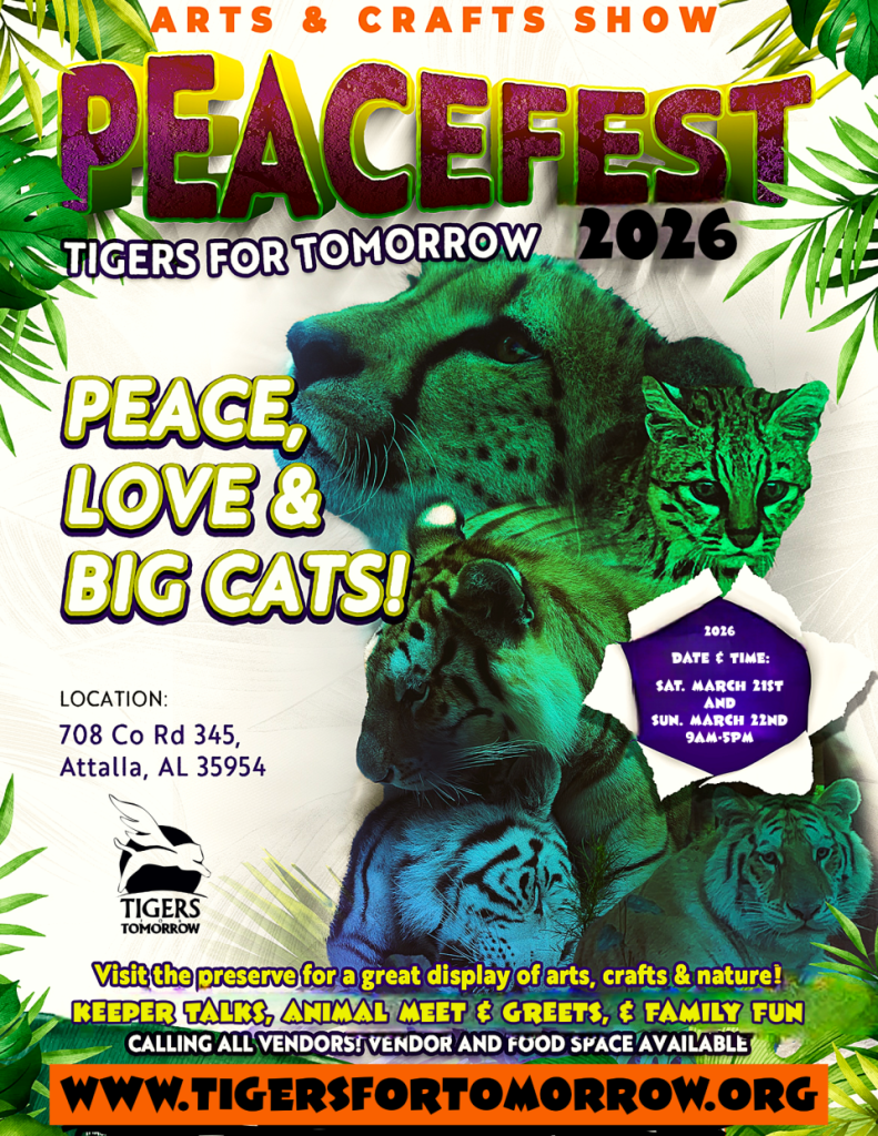 Peacefest 2026 - Tigers for Tomorrow