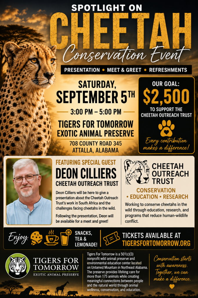 Cheetah Conservation Fundraiser - Tigers for Tomorrow